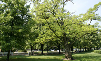039 medicka zahrada.jpg